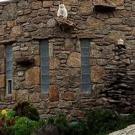 Hippy Mykonos